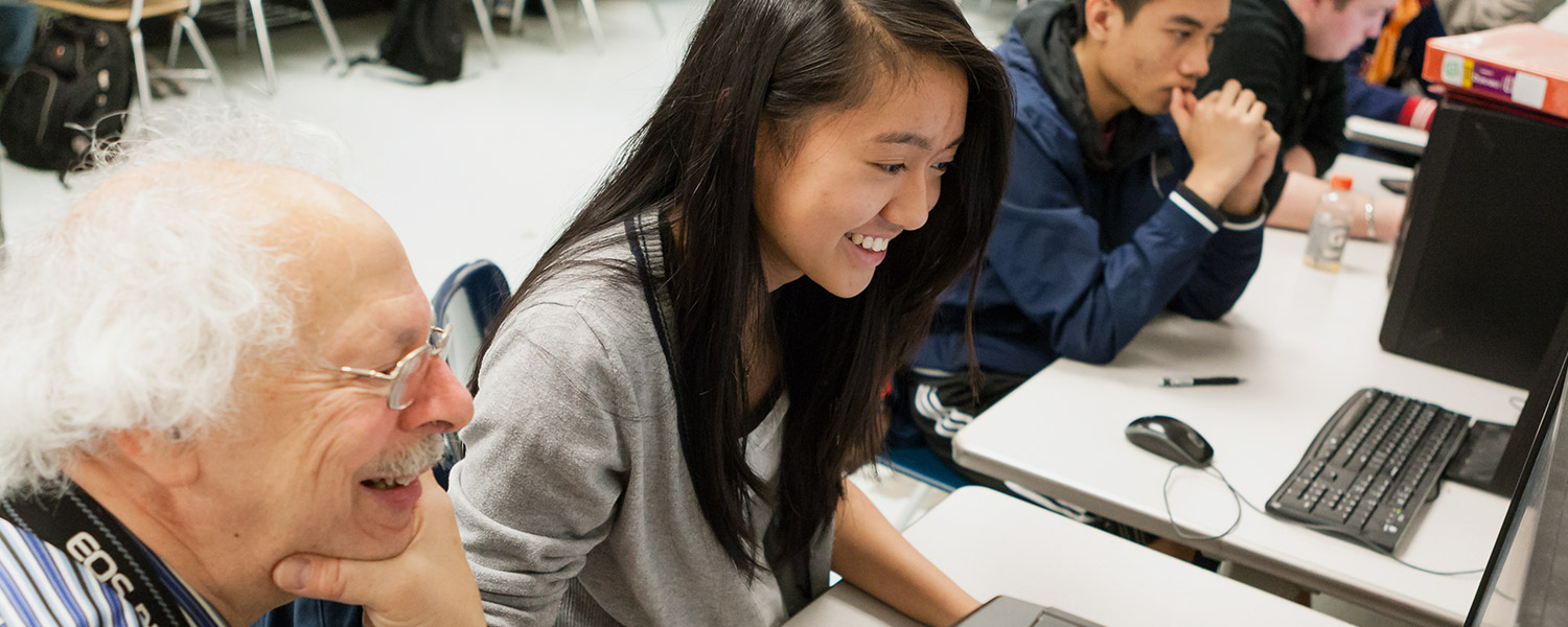 Teachers using computers