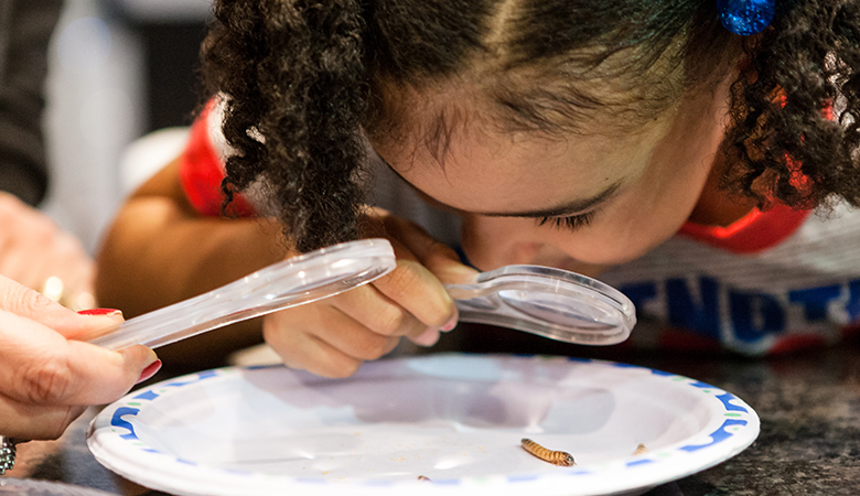 A photo of a student doing science