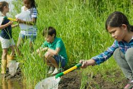 A photo of children engaged in science